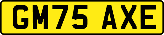 GM75AXE