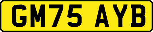 GM75AYB