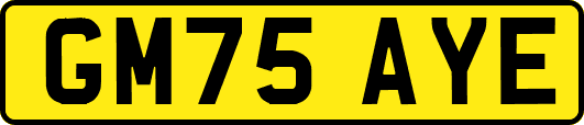 GM75AYE