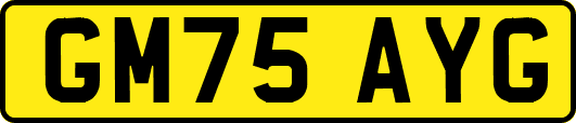 GM75AYG