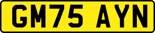 GM75AYN