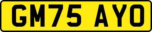 GM75AYO