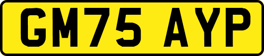 GM75AYP