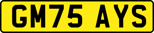 GM75AYS