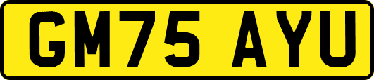GM75AYU