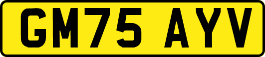 GM75AYV