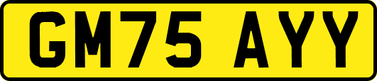GM75AYY