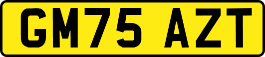 GM75AZT