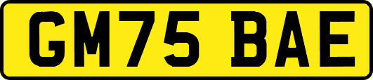 GM75BAE