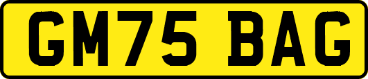 GM75BAG