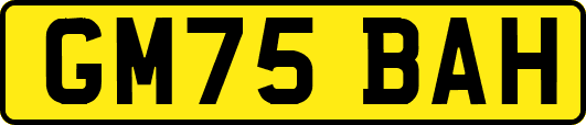GM75BAH