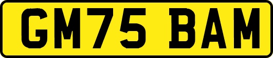GM75BAM
