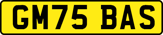 GM75BAS