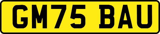 GM75BAU