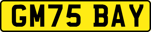 GM75BAY