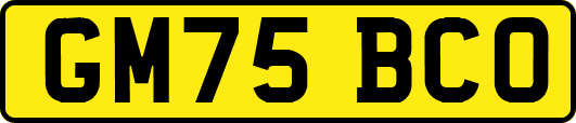 GM75BCO