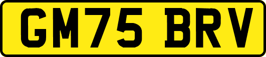 GM75BRV