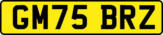GM75BRZ