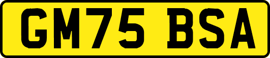 GM75BSA