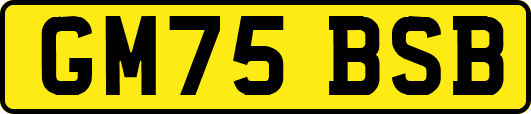 GM75BSB