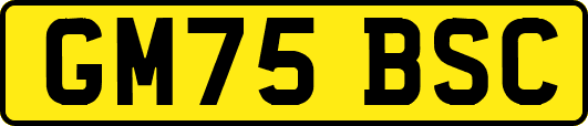 GM75BSC