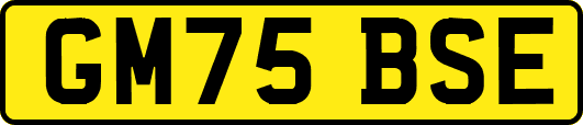 GM75BSE