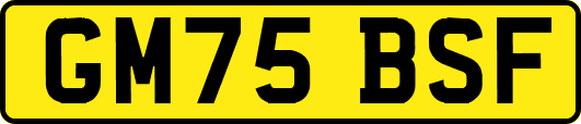 GM75BSF