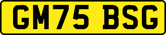 GM75BSG