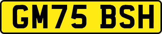 GM75BSH