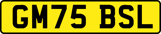GM75BSL