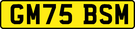 GM75BSM