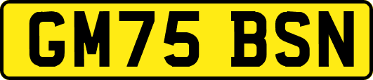 GM75BSN