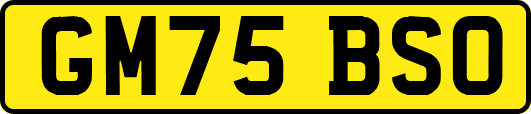 GM75BSO