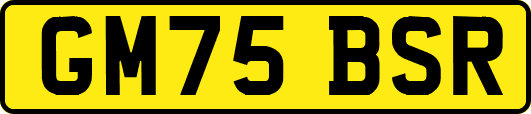 GM75BSR