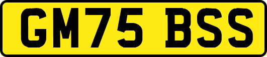 GM75BSS