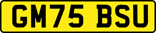 GM75BSU