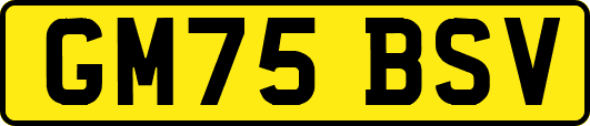 GM75BSV