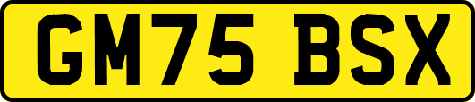 GM75BSX