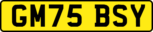 GM75BSY