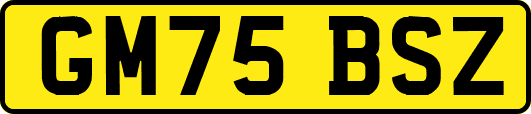 GM75BSZ