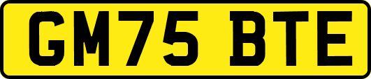 GM75BTE