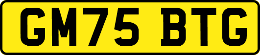GM75BTG