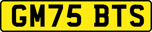 GM75BTS