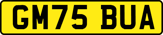 GM75BUA
