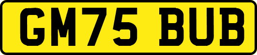 GM75BUB