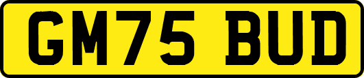 GM75BUD