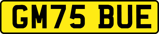 GM75BUE