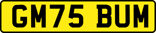 GM75BUM