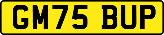GM75BUP