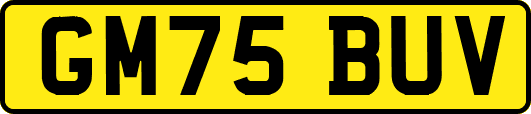 GM75BUV